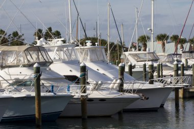 Indian River Lagoon, Florida manzarası