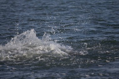 Indian River Lagoon, Florida manzarası