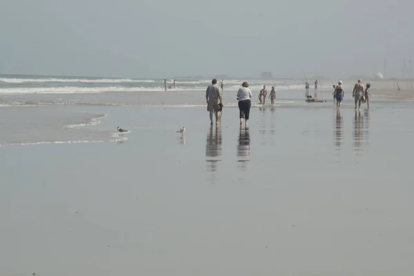 Cape Canaveral National Seashore Florida — Foto Stock