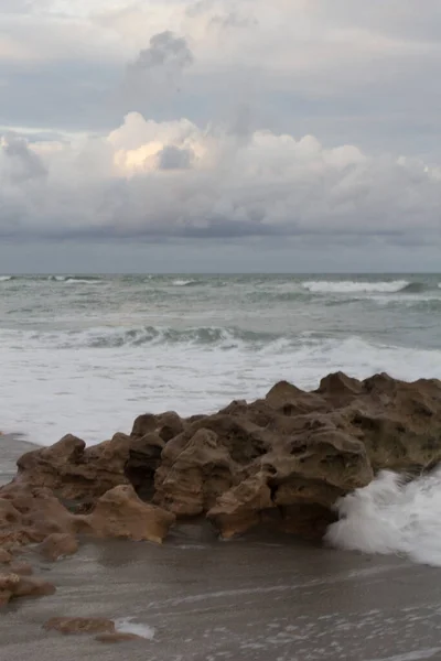 Coral Cove Park Tequesta Florida — Fotografia de Stock