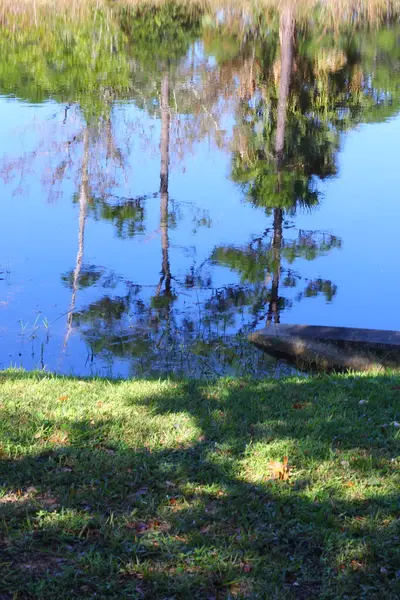 Baumreflexionen Einem Teich Florida — Stockfoto