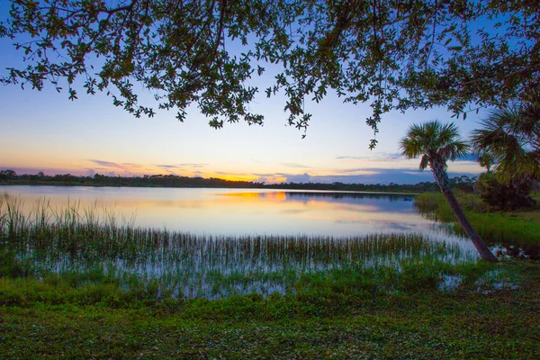 George Lestrange Preserve Fort Pierce Florida — Foto de Stock