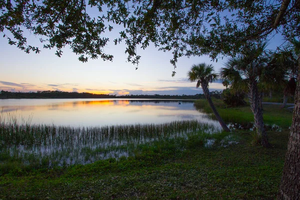 George Lestrange Preserve Fort Pierce Florida — Foto de Stock