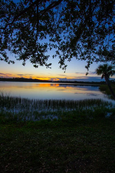 George Lestrange Preserve Fort Pierce Florida — Stockfoto