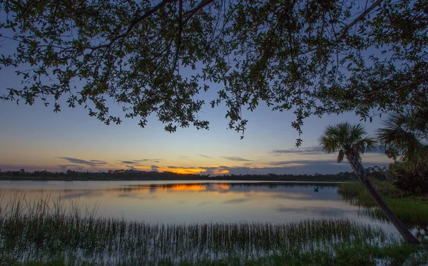 George Lestrange Preserve Fort Pierce Florida — Stock Photo, Image