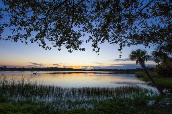 George Lestrange Preserve Fort Pierce Florida — 스톡 사진