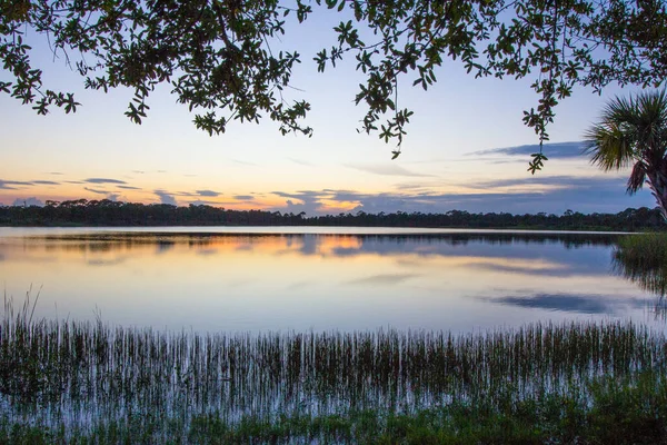 George Lestrange Preserve Fort Pierce Florida — Foto Stock