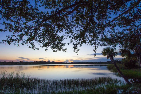 George Lestrange Preserve Fort Pierce Florida — Stockfoto