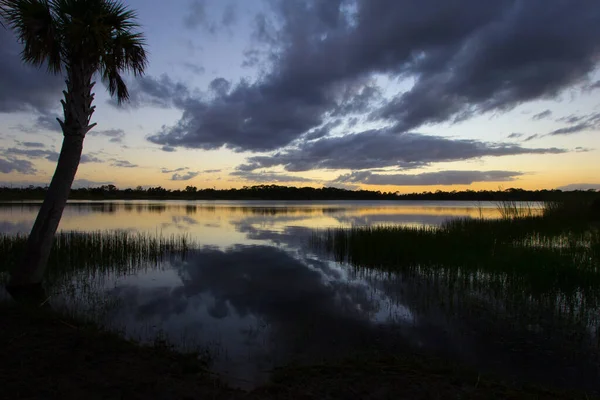 George Lestrange保护区 佛罗里达州皮尔斯堡 — 图库照片