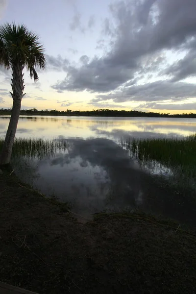 George Lestrange Preserve Fort Pierce Florida — Stock Photo, Image