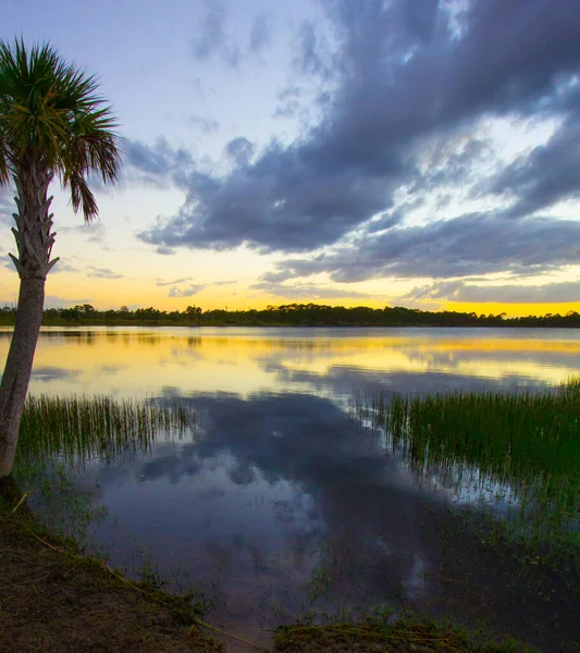 George Lestrange Preserve Fort Pierce Florida — 스톡 사진