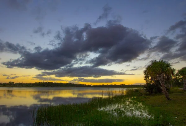 George Lestrange Preserve Fort Pierce Florida — Stock fotografie