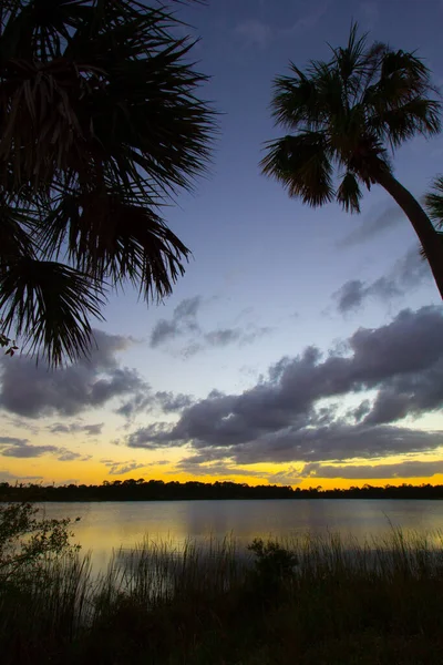 George Lestrange Preserve Fort Pierce Florida — 스톡 사진