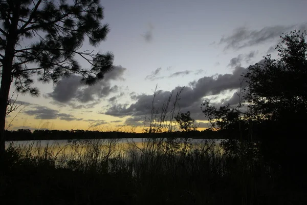 George Lestrange Konservesi Fort Pierce Florida — Stok fotoğraf