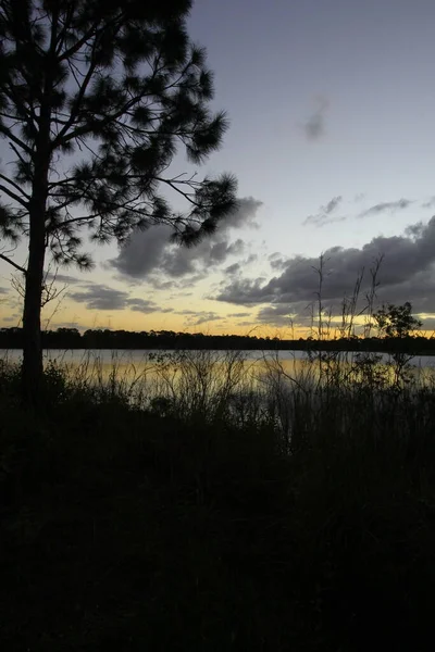 George Lestrange Preserve Fort Pierce Φλόριντα — Φωτογραφία Αρχείου