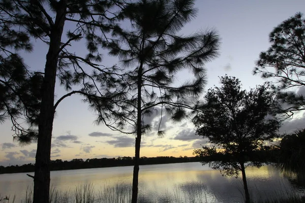 George Lestrange Konservesi Fort Pierce Florida — Stok fotoğraf