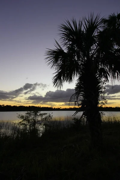 George Lestrange Preserve Fort Pierce Florida — 스톡 사진