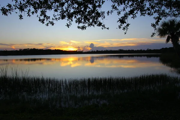 George Lestrange Konservesi Fort Pierce Florida — Stok fotoğraf