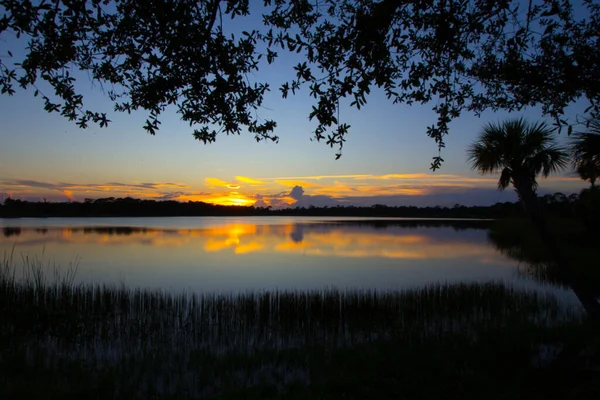 George Lestrange Rezervátum Fort Pierce Florida — Stock Fotó