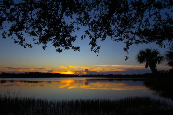 George Lestrange Preserve Fort Pierce Florida — 스톡 사진