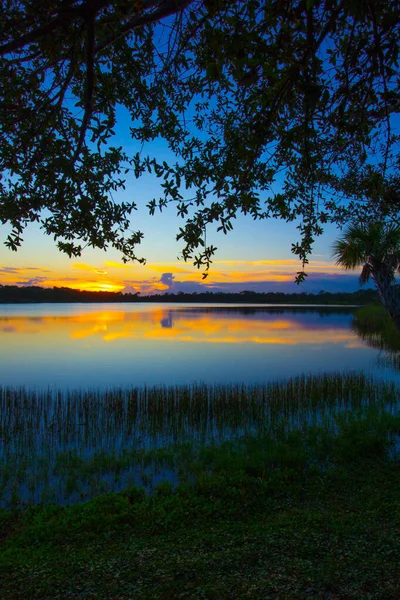 George Lestrange Preserve Fort Pierce Florida — Stockfoto