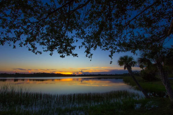 George Lestrange保护区 佛罗里达州皮尔斯堡 — 图库照片