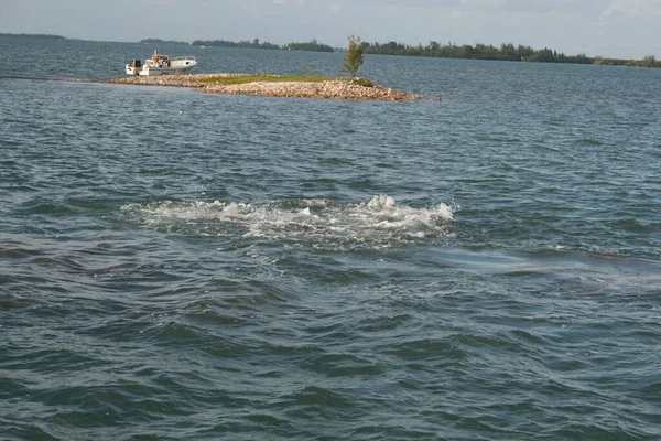 Blick Auf Die Indian River Lagoon Florida — Stockfoto