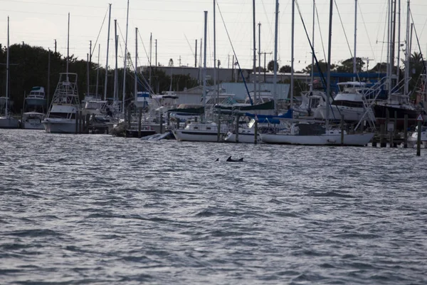 Blick Auf Die Indian River Lagoon Florida — Stockfoto