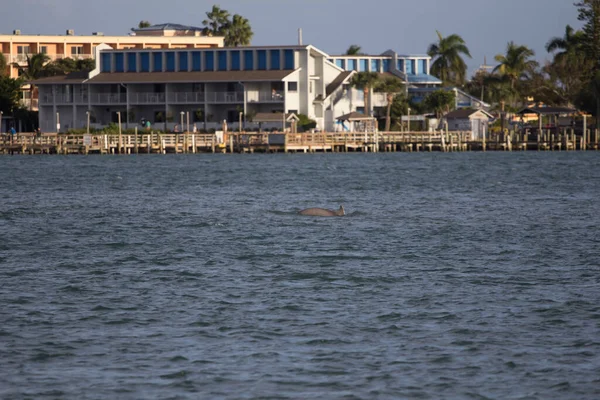 Indian River Lagoon Florida Manzarası — Stok fotoğraf