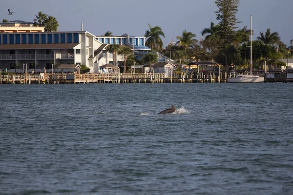 Blick Auf Die Indian River Lagoon Florida — Stockfoto