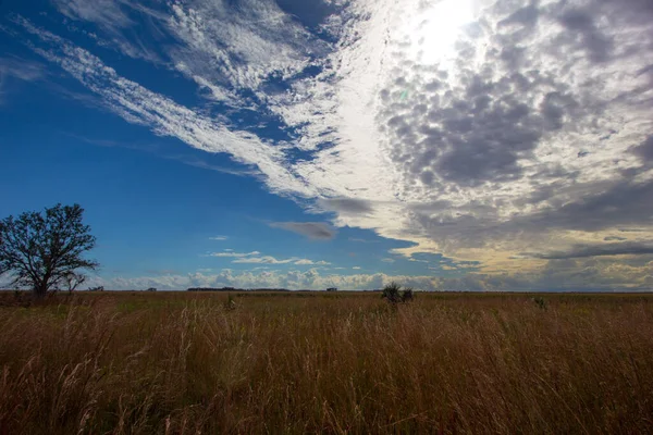 Ansichten Kissimmee Prairie Preserve State Park Florida — Stockfoto