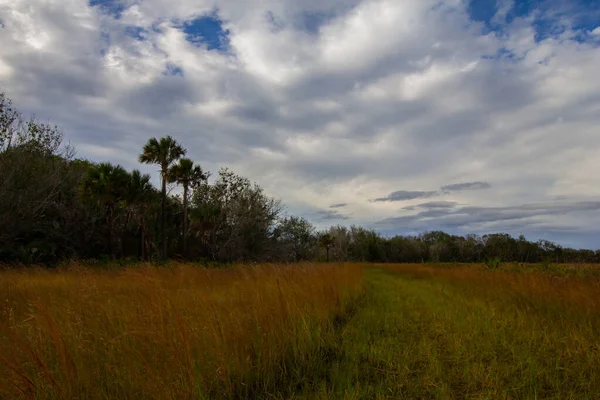 Views Kissimmee Prairie Preserve State Park Florida — Stock Photo, Image