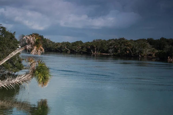 Merritt Adası Ulusal Vahşi Yaşam Sığınağı Florida — Stok fotoğraf