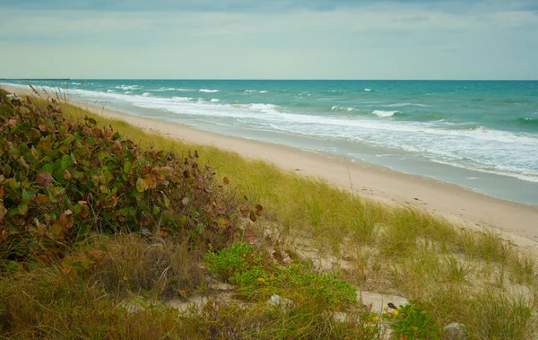 Plage Sur Océan Atlantique Floride — Photo