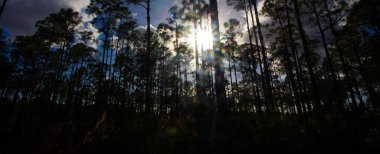 Oxbow Eco-Center, Fort Pierce, Florida