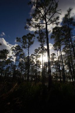 Oxbow Eco-Center, Fort Pierce, Florida