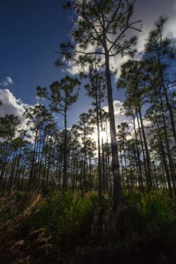Oxbow Eco-Center, Fort Pierce, Florida