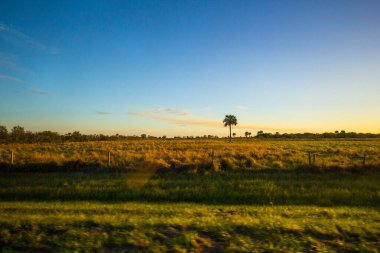 Güney Florida 'daki Ranchland' da Günbatımı