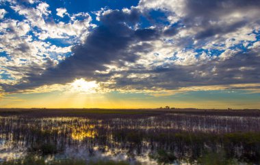 Güney Florida 'daki Ranchland' da Günbatımı