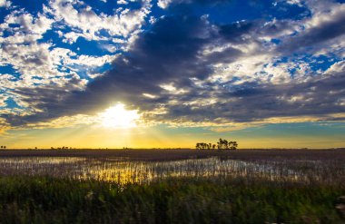Güney Florida 'daki Ranchland' da Günbatımı