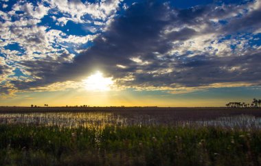 Güney Florida 'daki Ranchland' da Günbatımı