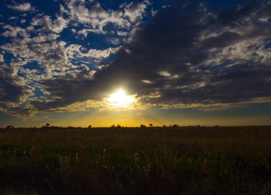 Güney Florida 'daki Ranchland' da Günbatımı