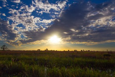 Güney Florida 'daki Ranchland' da Günbatımı