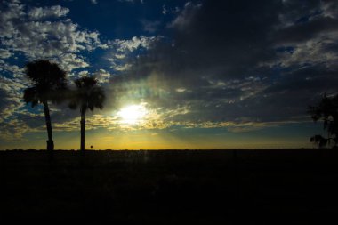 Güney Florida 'daki Ranchland' da Günbatımı