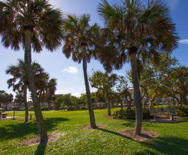 Ağaçlı Küçük Park, Vero Sahili, Florida