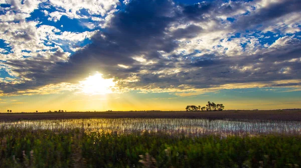 Sonnenuntergang Über Ranchland Südflorida — Stockfoto