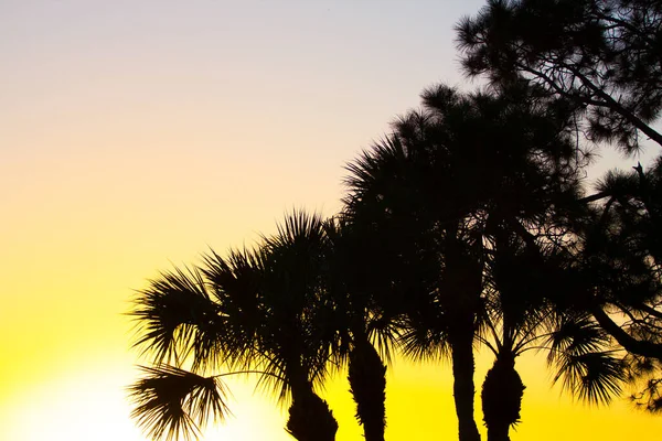 Warmer Sonnenaufgang Port Lucie Florida — Stockfoto