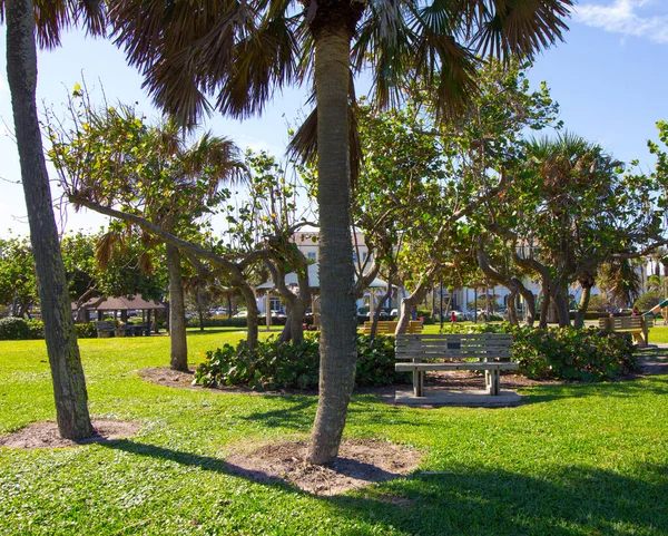 Малый Парк Деревьями Веро Бич Флорида — стоковое фото