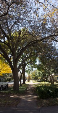 Dallas, Teksas manzaralı.