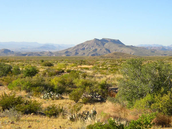 Uitzicht Big Bend National Park Texas — Stockfoto